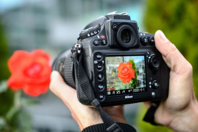 Tips Aman Membawa Kamera DSLR Saat Pergi Berlibur