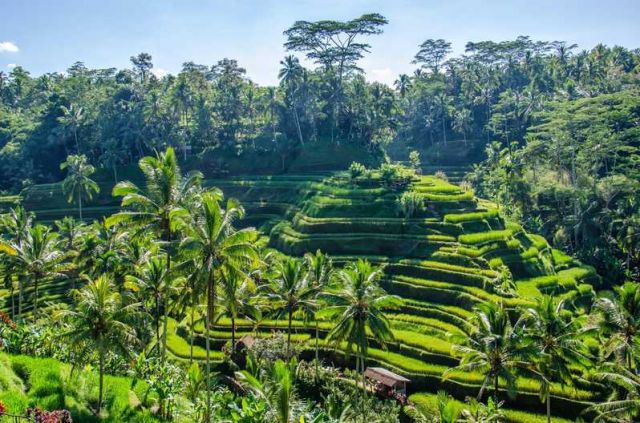 Inilah Beragam Aktivitas Seru yang Bisa Kamu Lakukan Saat Liburan ke Bali di Musim Hujan