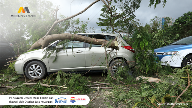 Musim Hujan Datang, Risiko Datang: Lindungi Mobilmu dari Banjir, Pohon Tumbang, dan Cuaca Ekstrem
